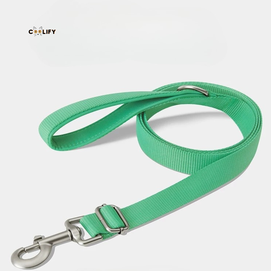 Flora Pet Walk Kit