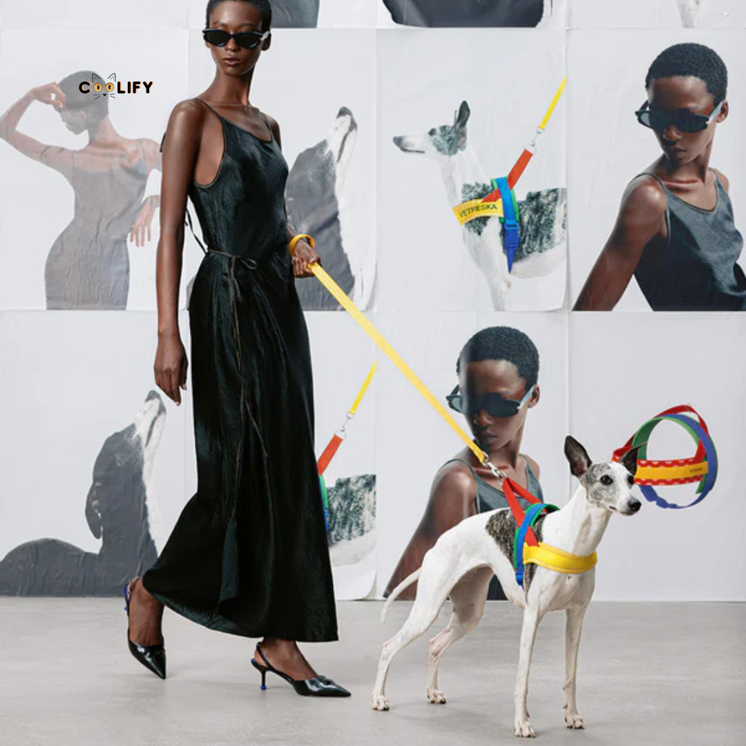 Chroma Pet Walk Kit