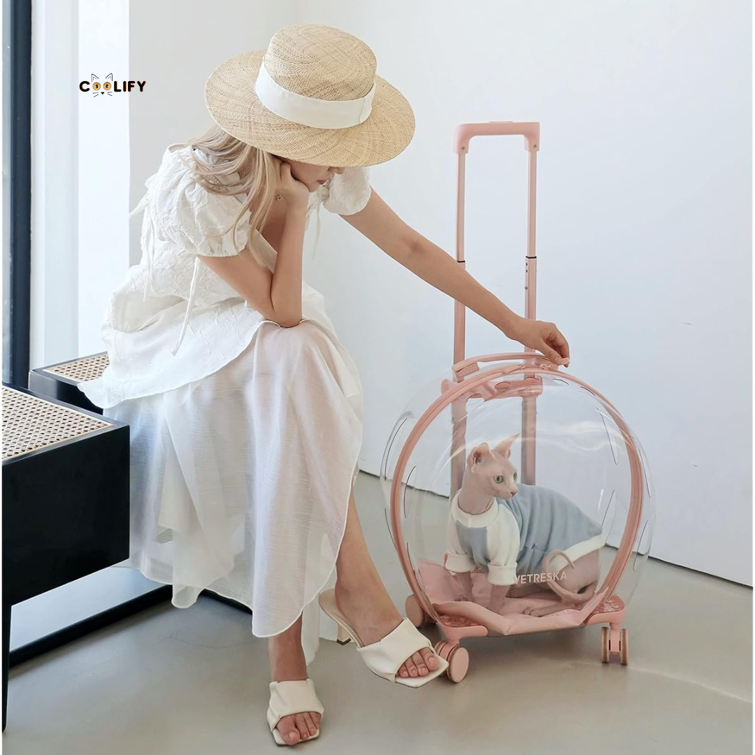 Coolify X Vetreska Taşıma Çantası