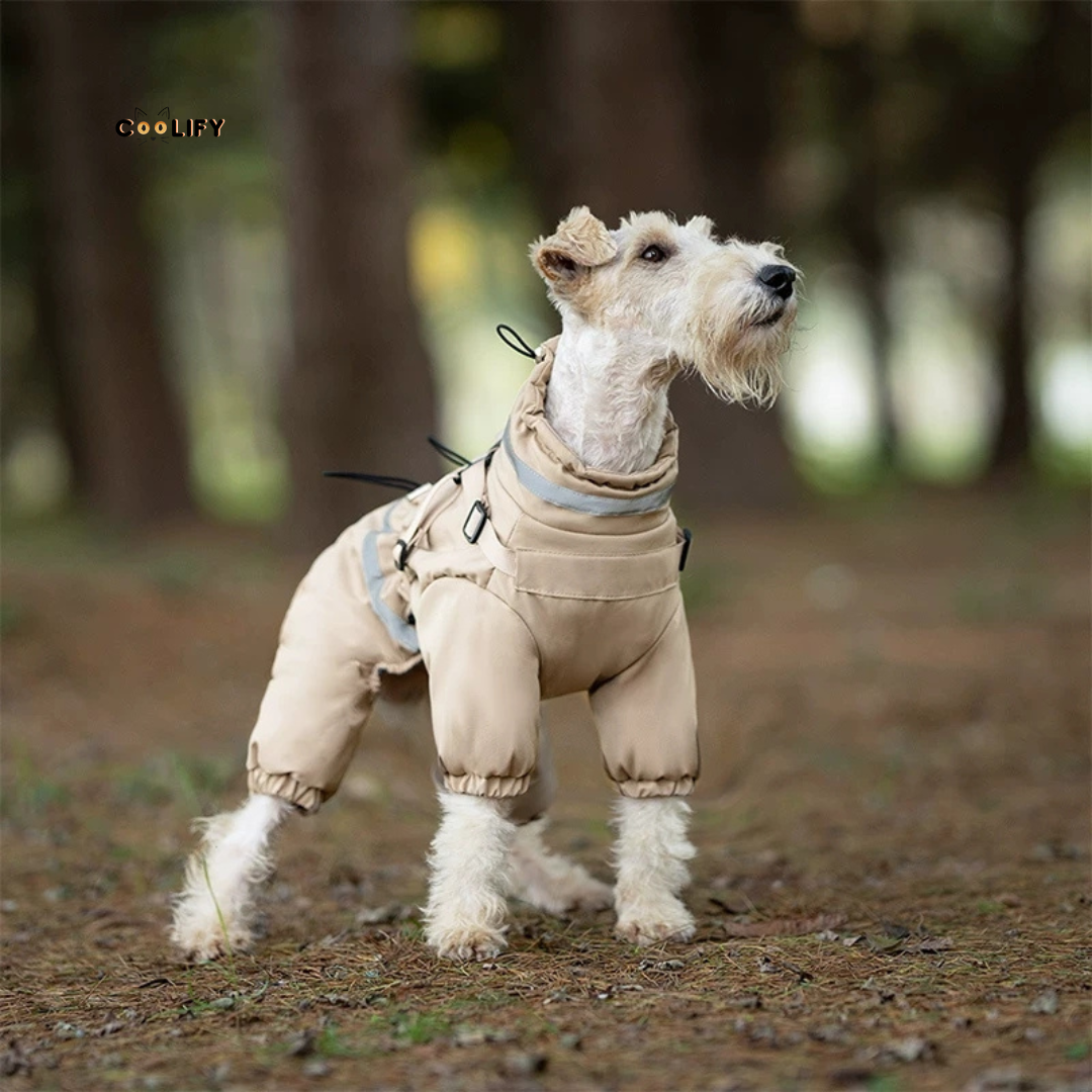 Nordic Köpek Tulumu