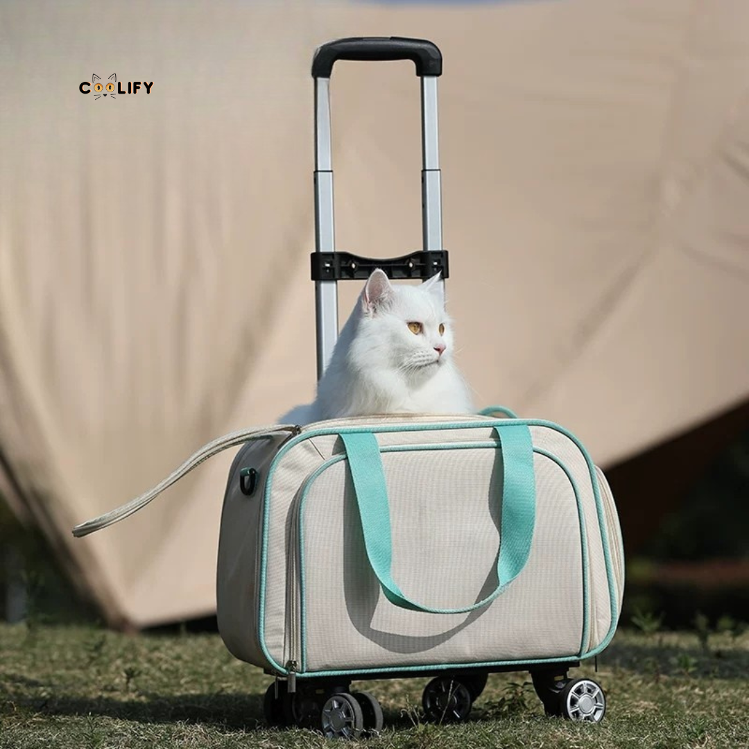 Santorini Tekerlekli Taşıma Çantası