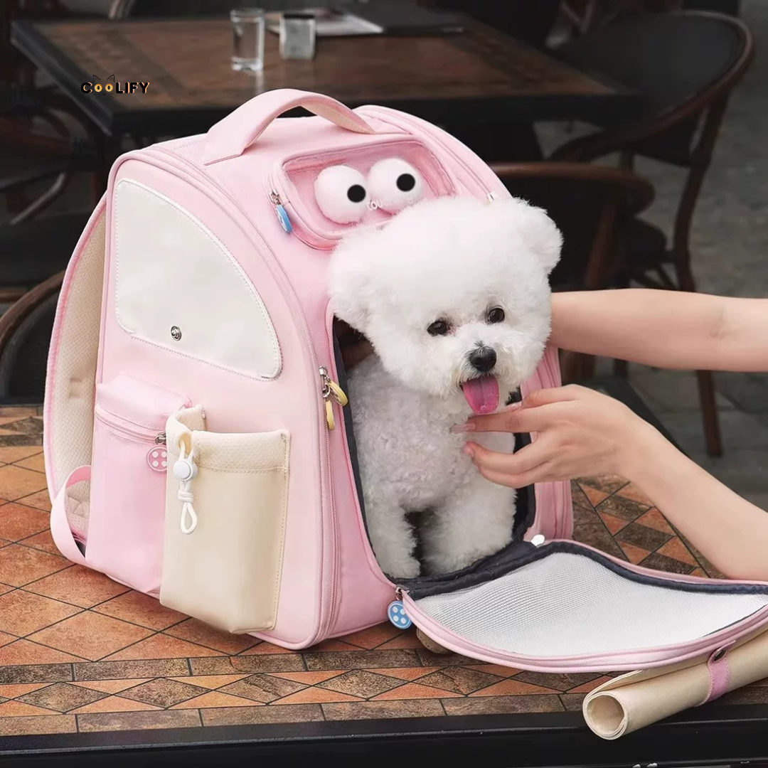Coolify Peek-A-Paw Backpack