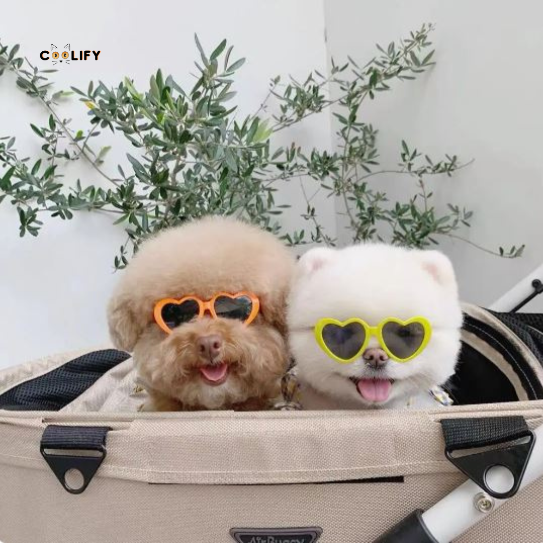 LovePaws Heart Shades