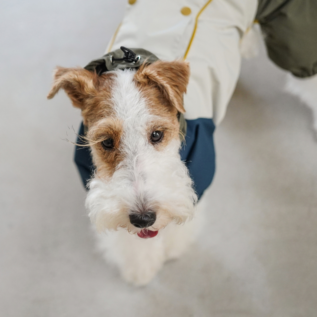 Lakeland Raincoat
