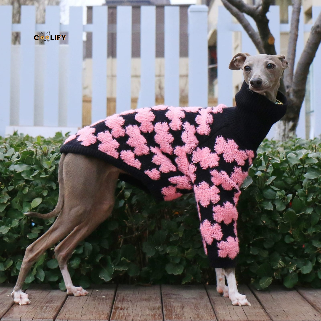 Retro Bloom Köpek Kazağı