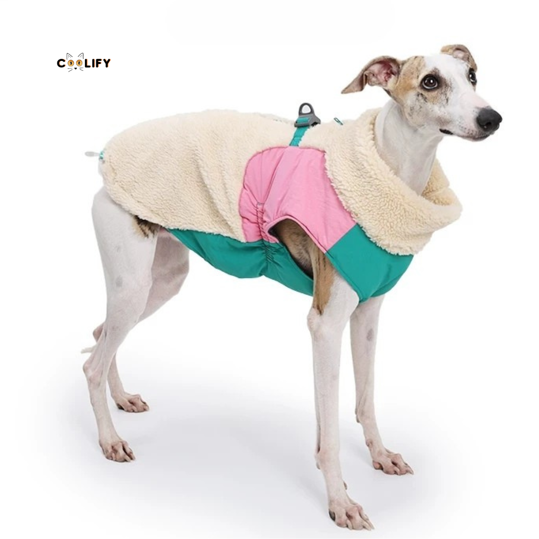 Montreal Köpek Yeleği