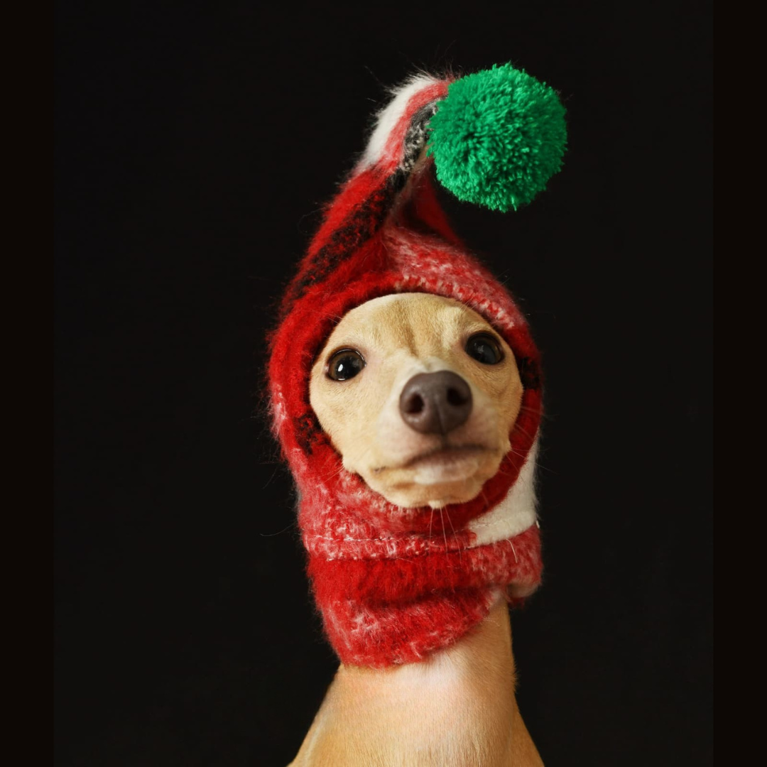 Coolify Christmas Şapka