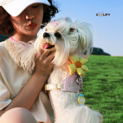 Kyoto Göğüs Tasması Seti