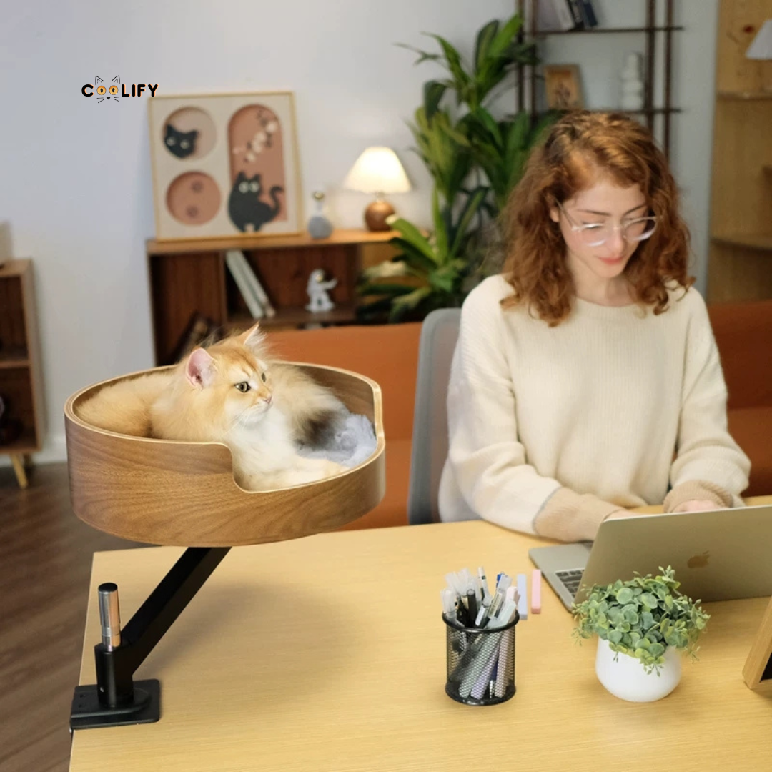 Digital Nomad Evcil Hayvan Yatağı