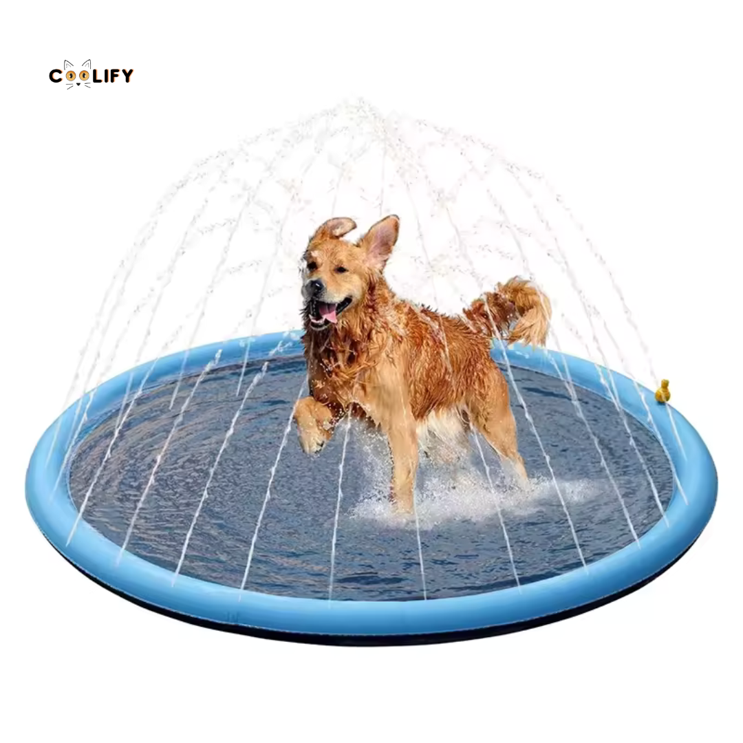 Coolify Köpek Oyun Havuzu