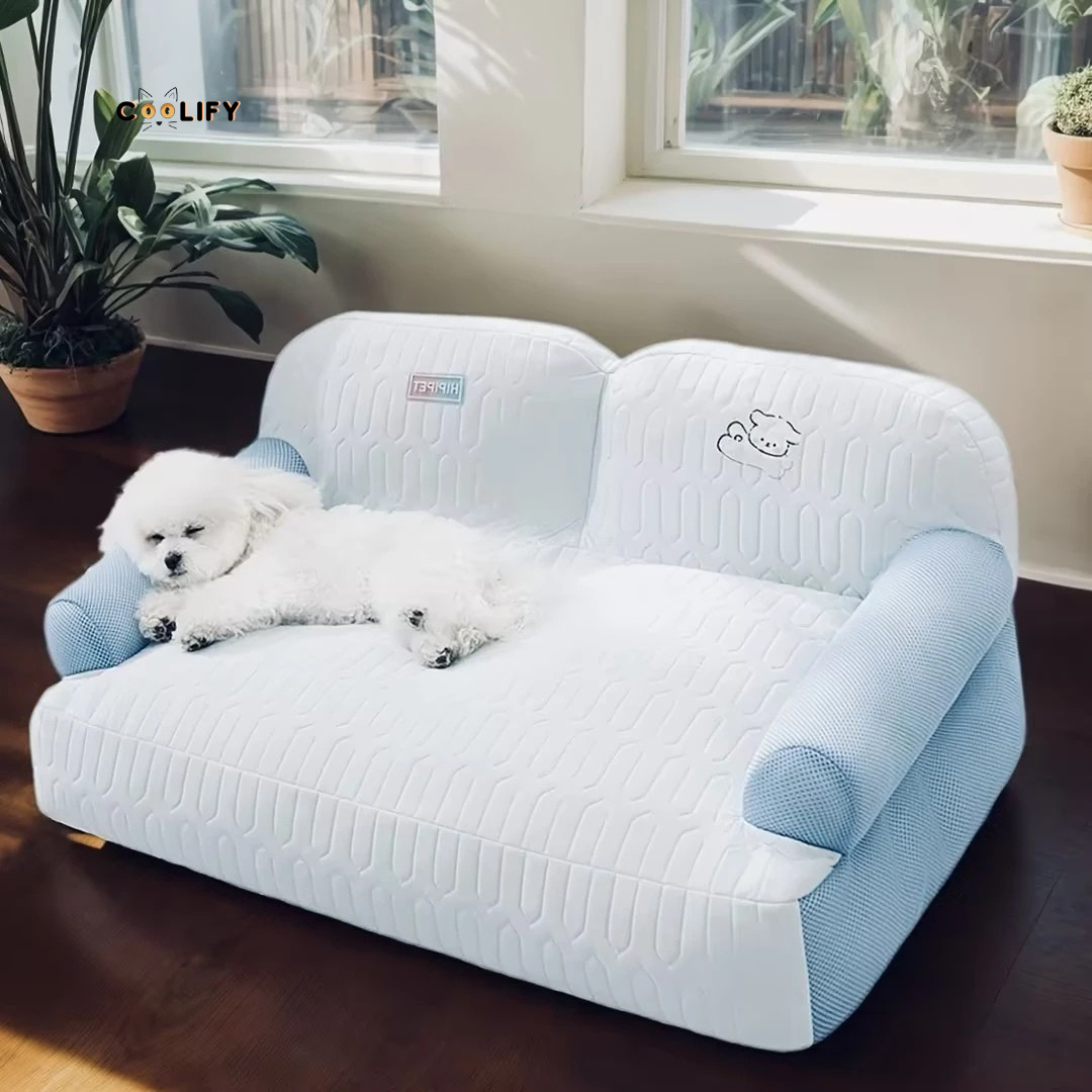 Coolify Ice Sofa