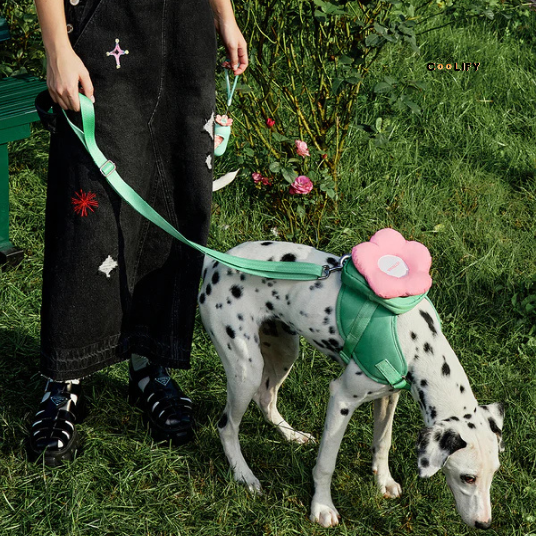 Flora Pet Walk Kit
