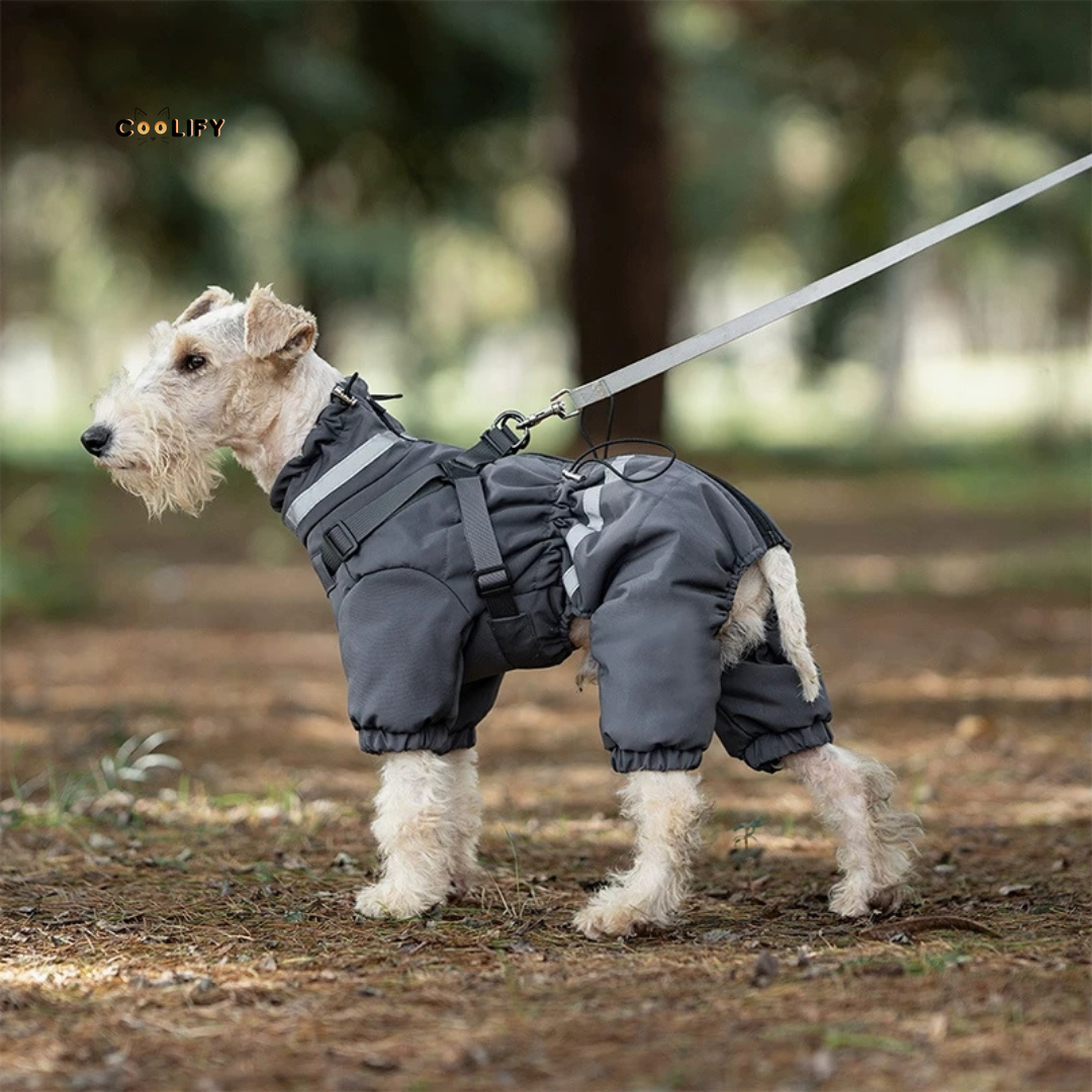 Nordic Köpek Tulumu
