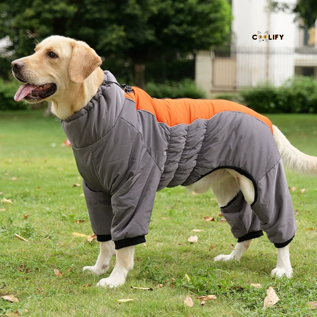 Greenwich Su Geçirmez Köpek Montu