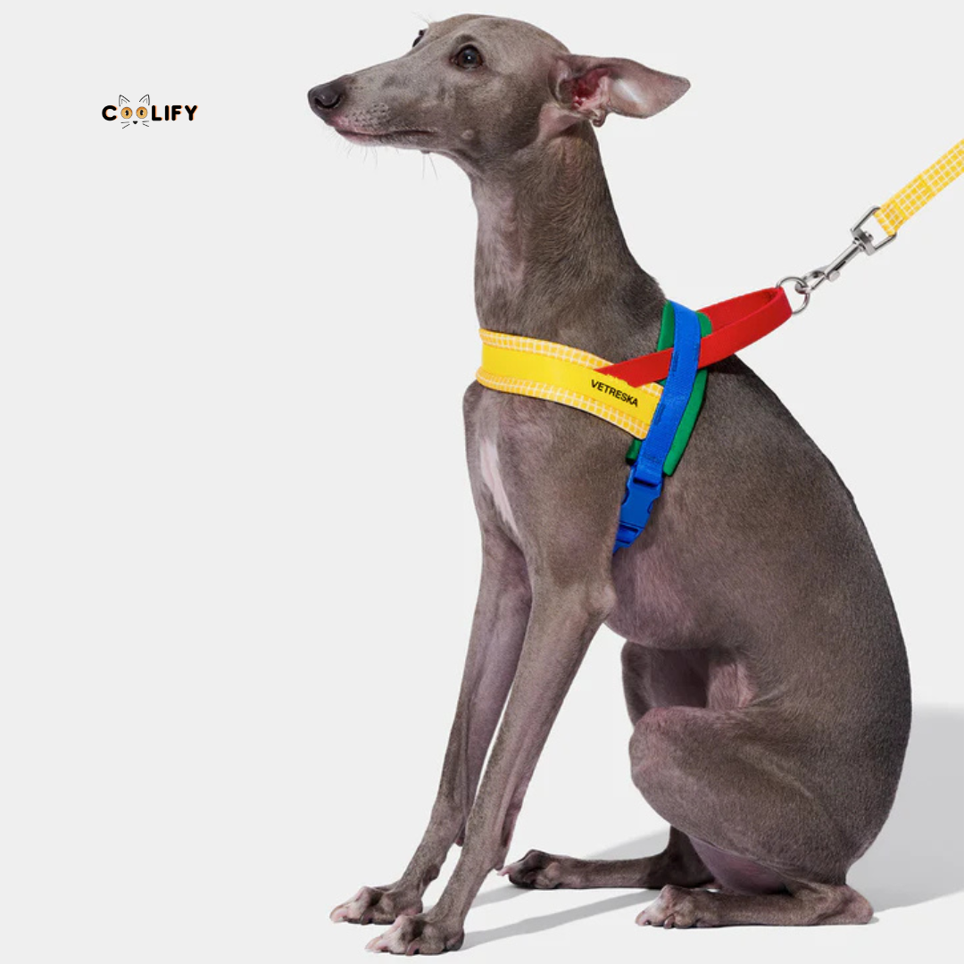 Chroma Pet Walk Kit