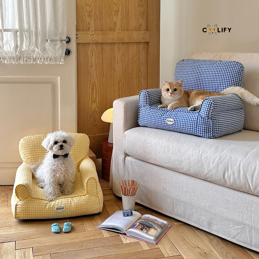 Coolify Summer Sofa