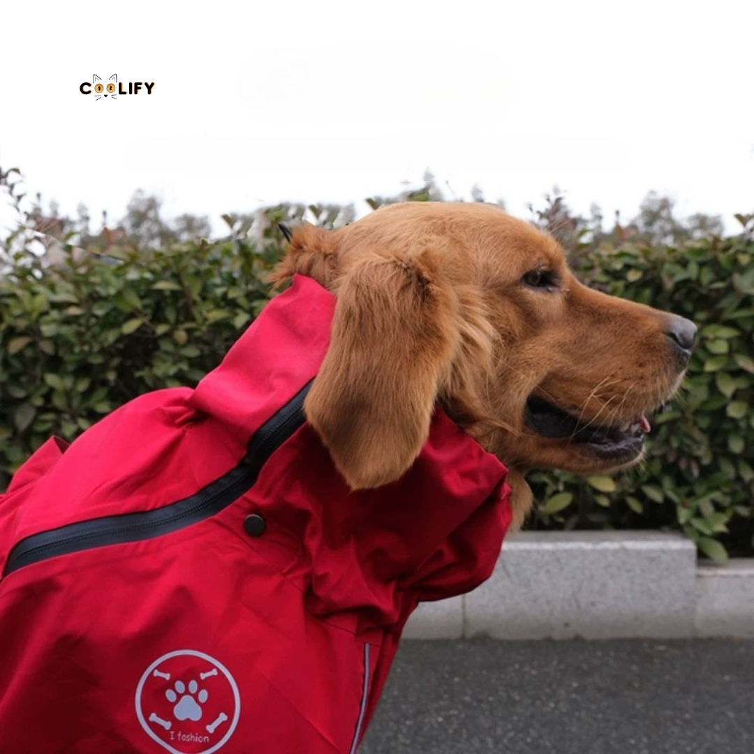 Coolify Outdoor Yağmurluk