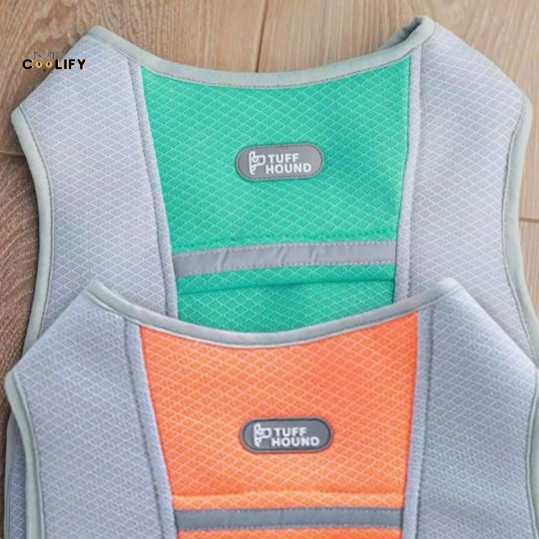 Oasis Pet Soğutucu Yelek