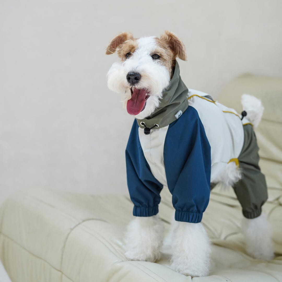 Lakeland Raincoat