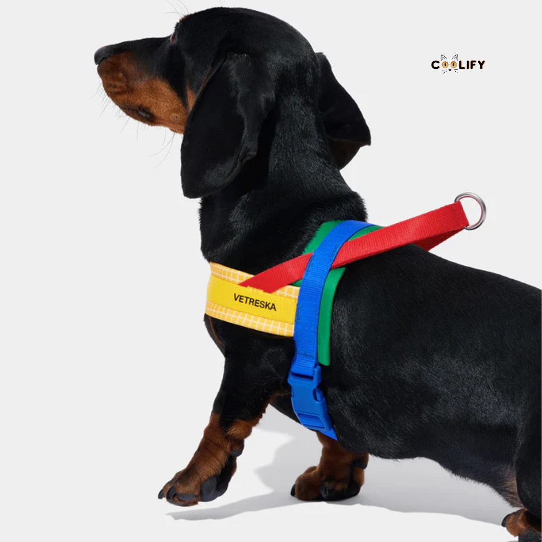 Chroma Pet Walk Kit