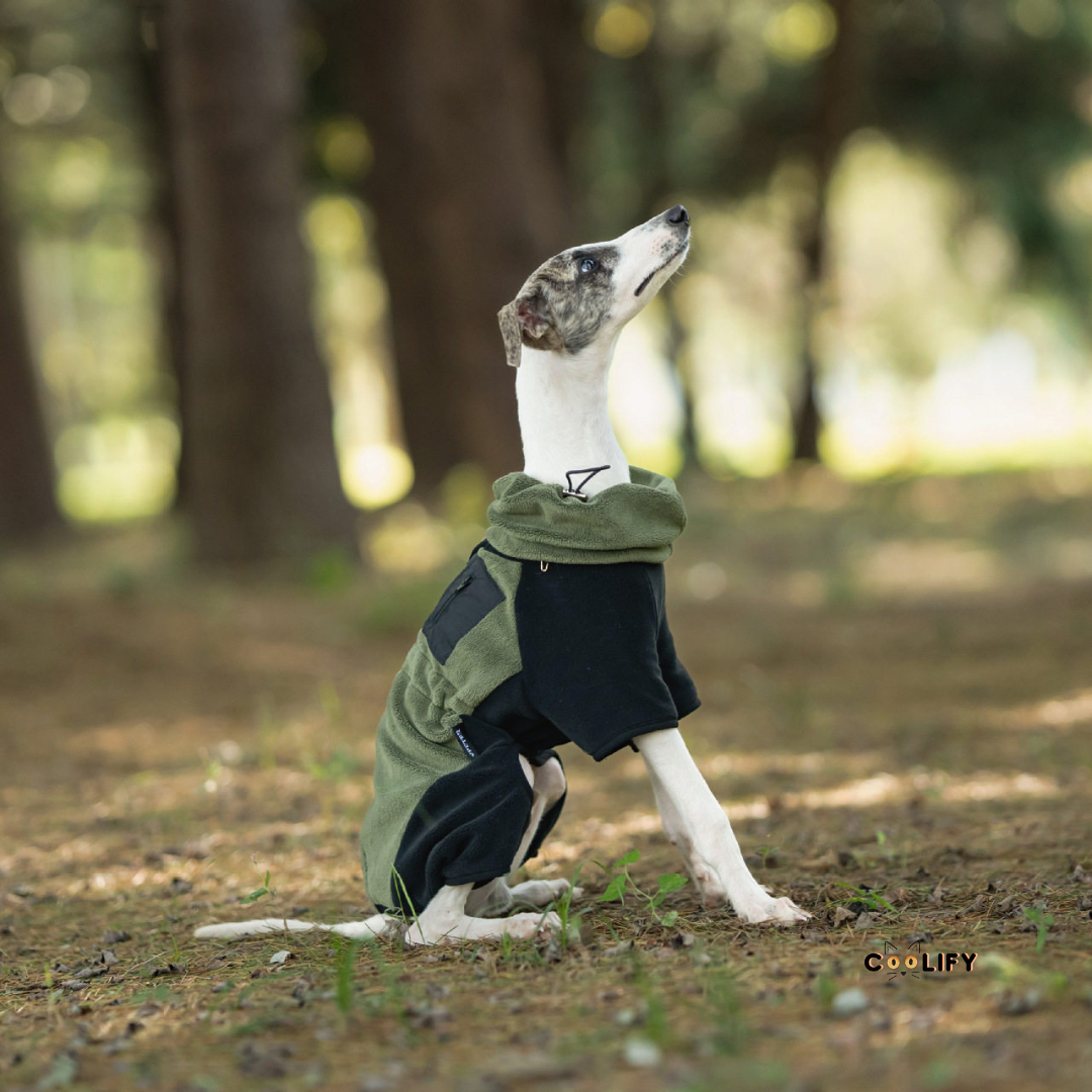 Evergreen Outdoor Polar Ceket