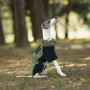 Evergreen Outdoor Polar Ceket