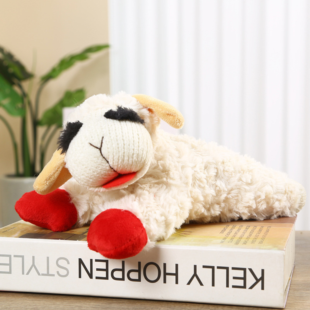 Coolify 3'ü 1 Arada Peluş Oyuncak Seti