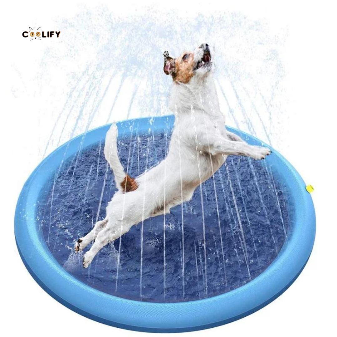 Coolify Köpek Oyun Havuzu