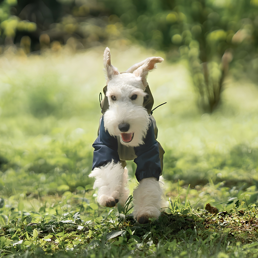 Lakeland Raincoat