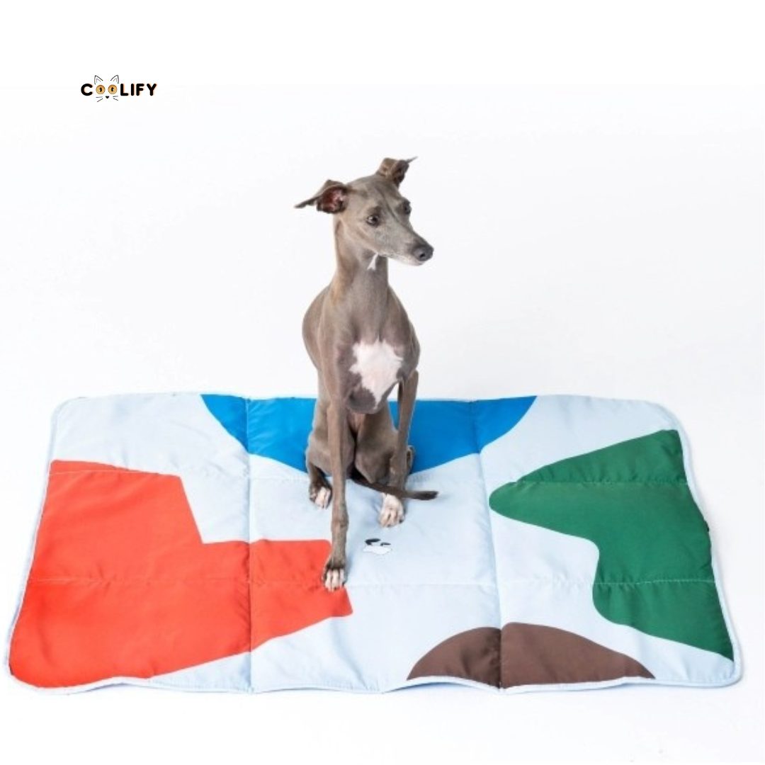 Coolify Outdoor Mat