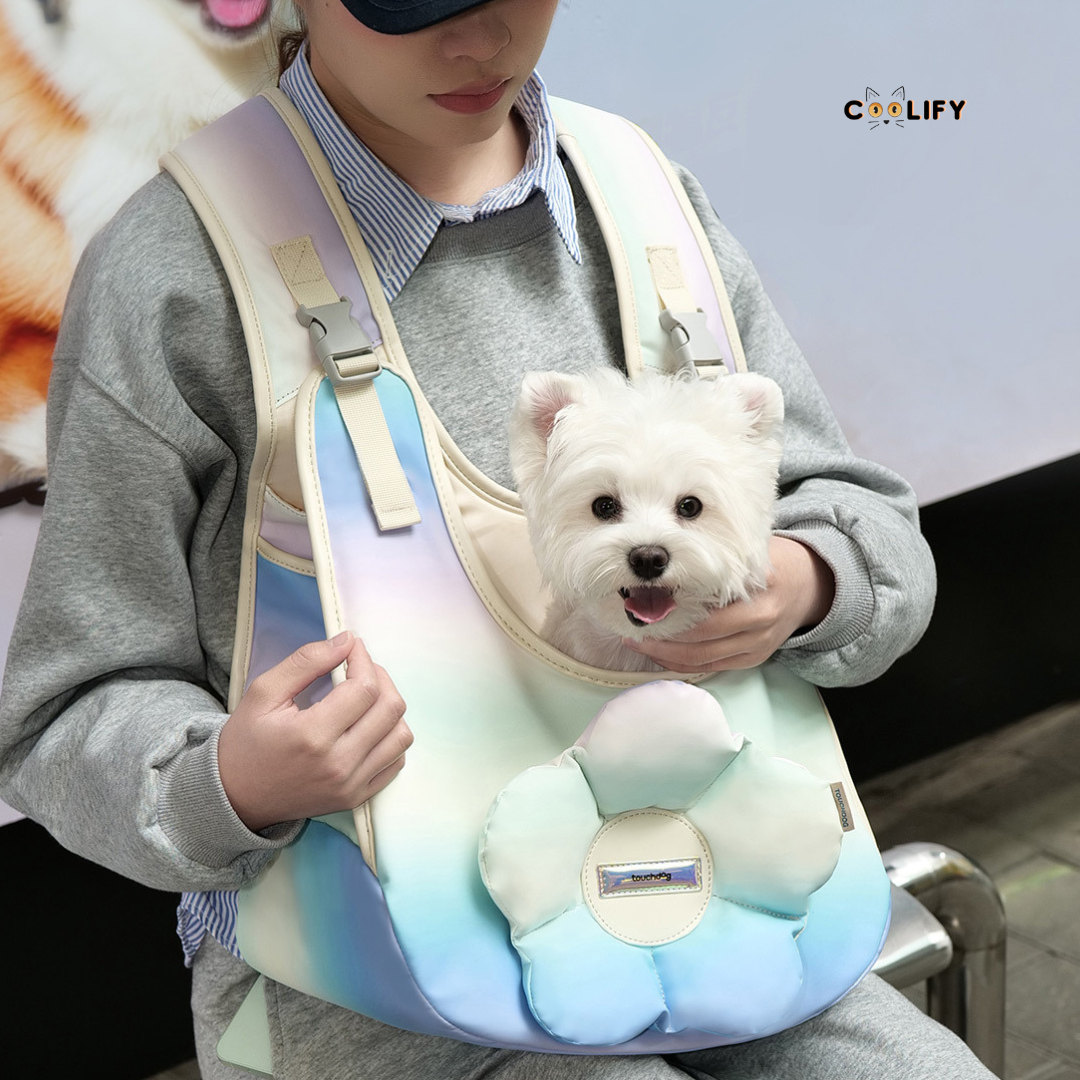 Paris Taşıma Çantası