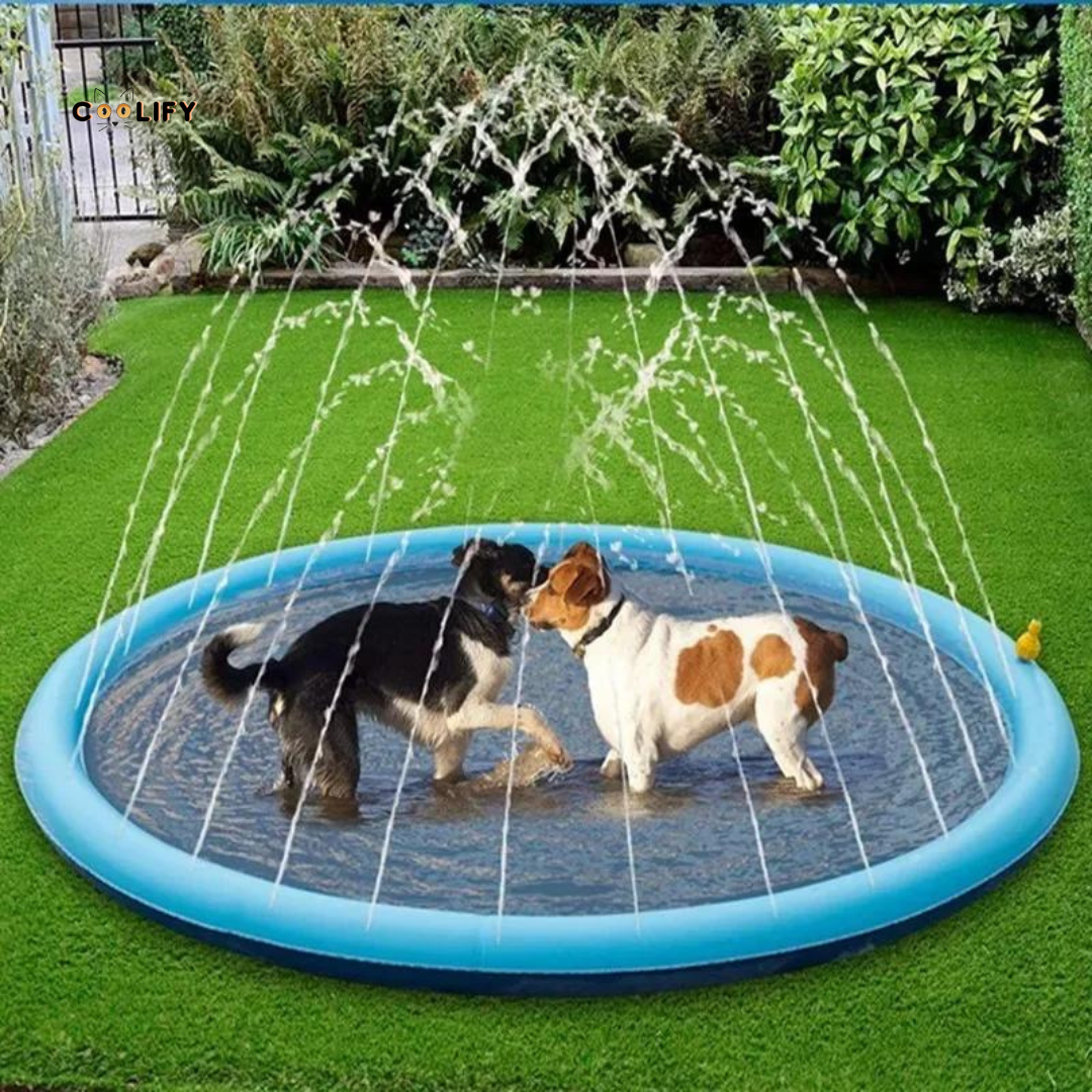Coolify Köpek Oyun Havuzu