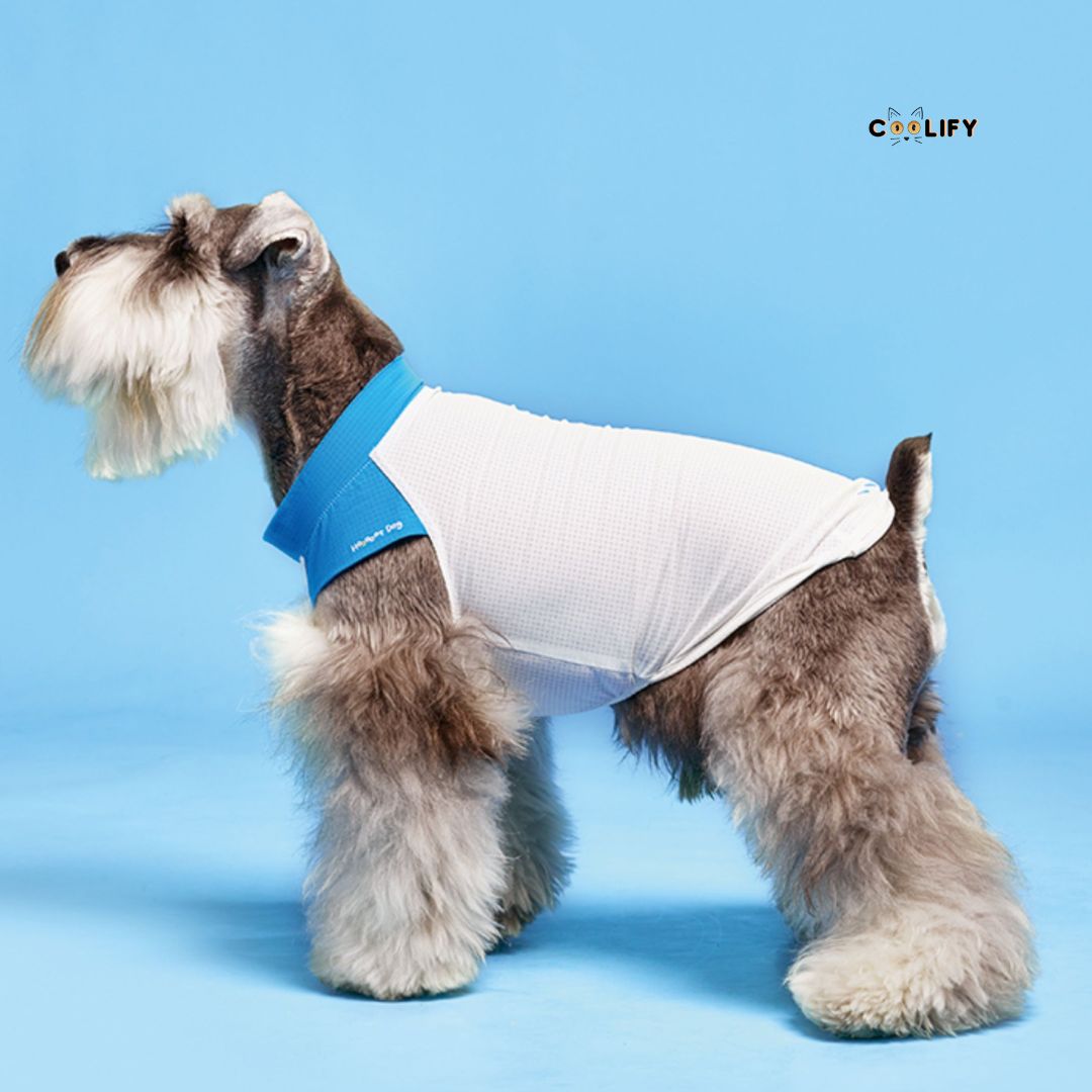 Coolify Breeze Touch Tişört