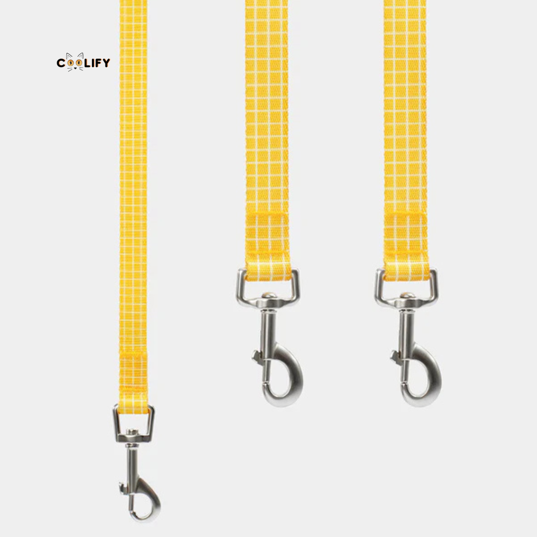 Chroma Pet Walk Kit