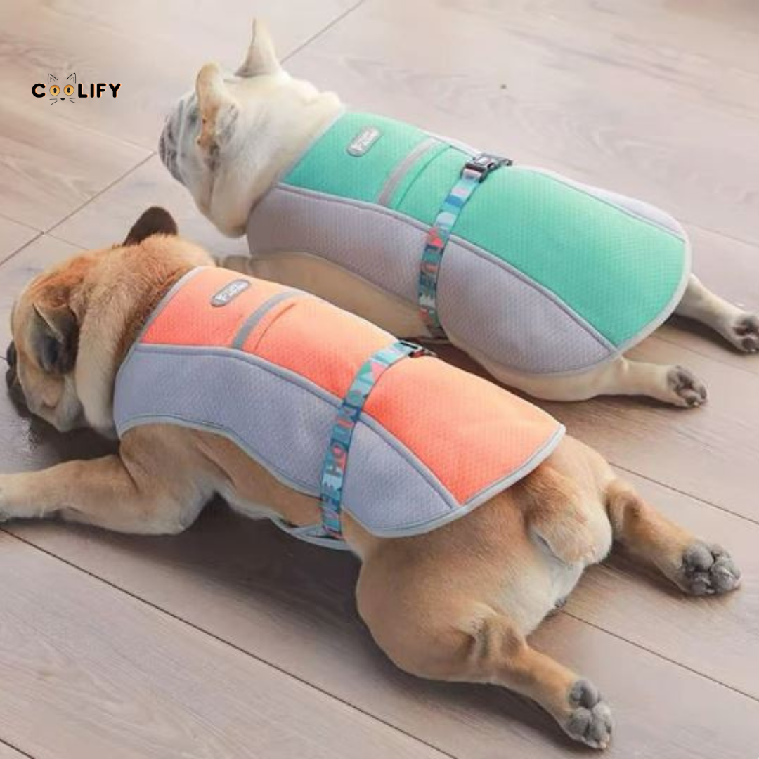 Oasis Pet Soğutucu Yelek