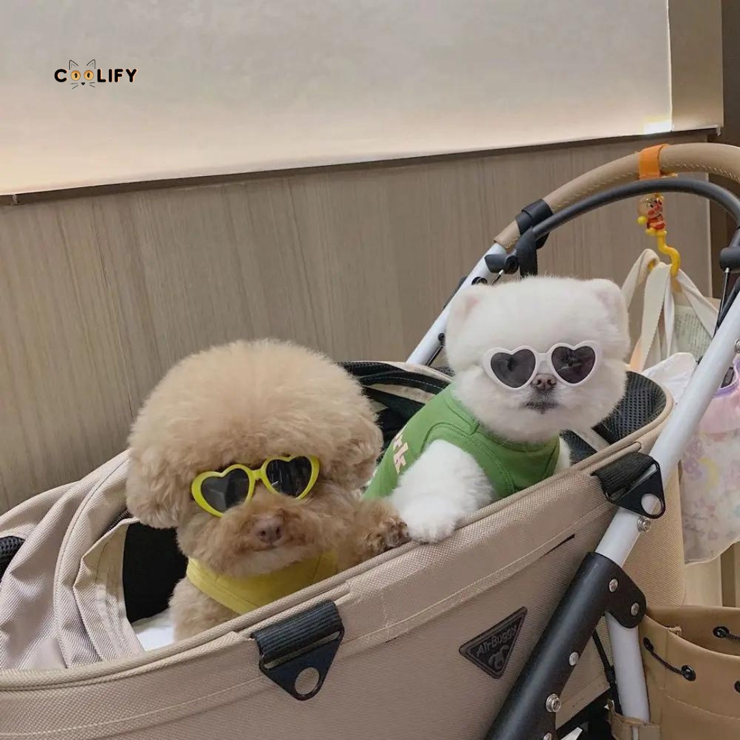 LovePaws Heart Shades
