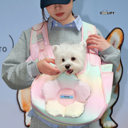 Paris Taşıma Çantası