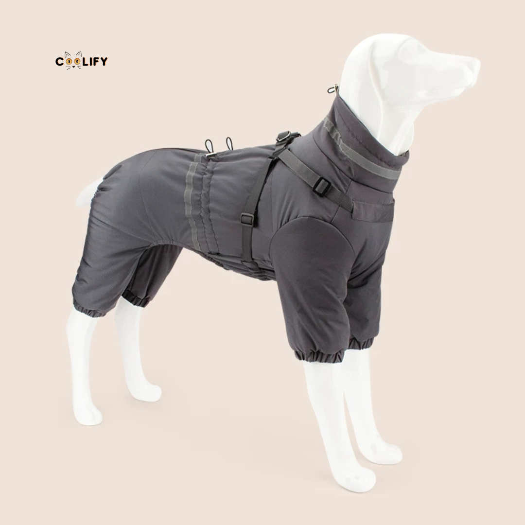 Nordic Köpek Tulumu