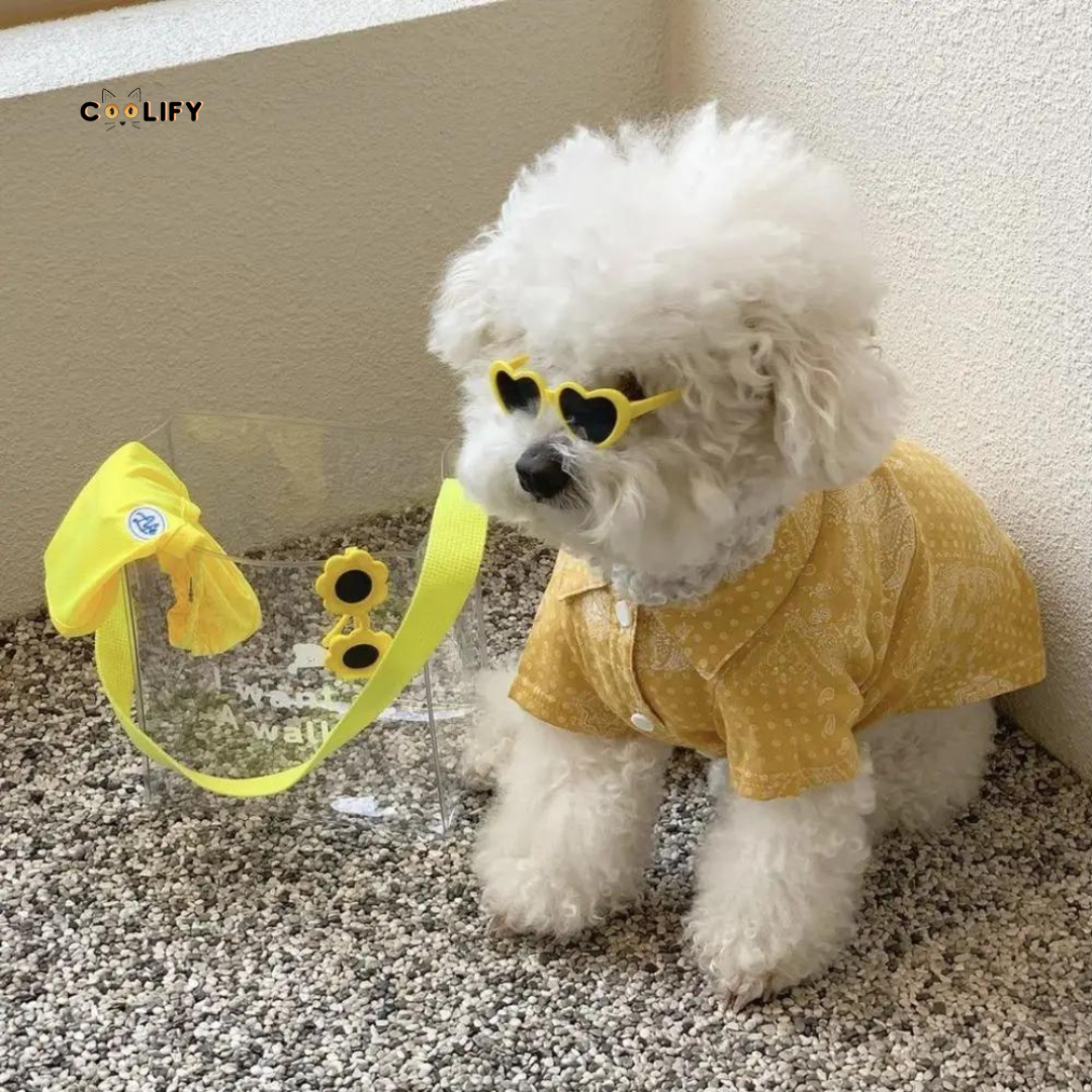 LovePaws Heart Shades