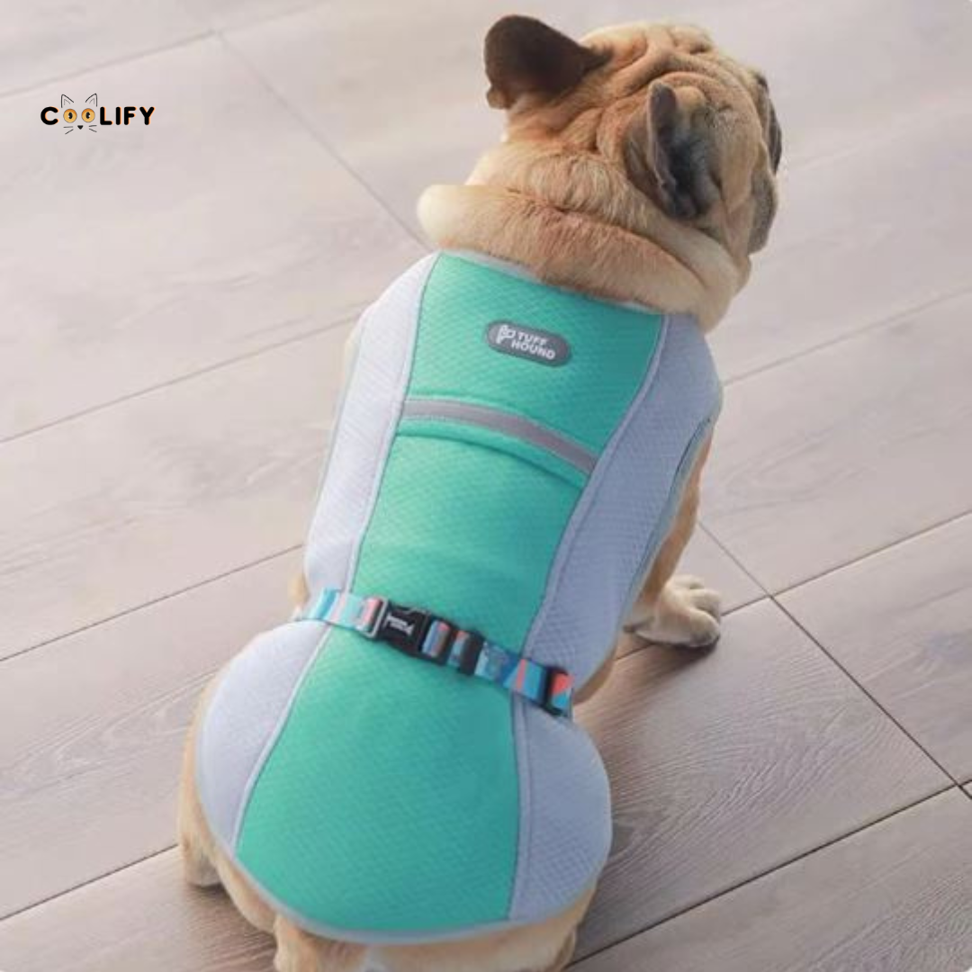 Oasis Pet Soğutucu Yelek