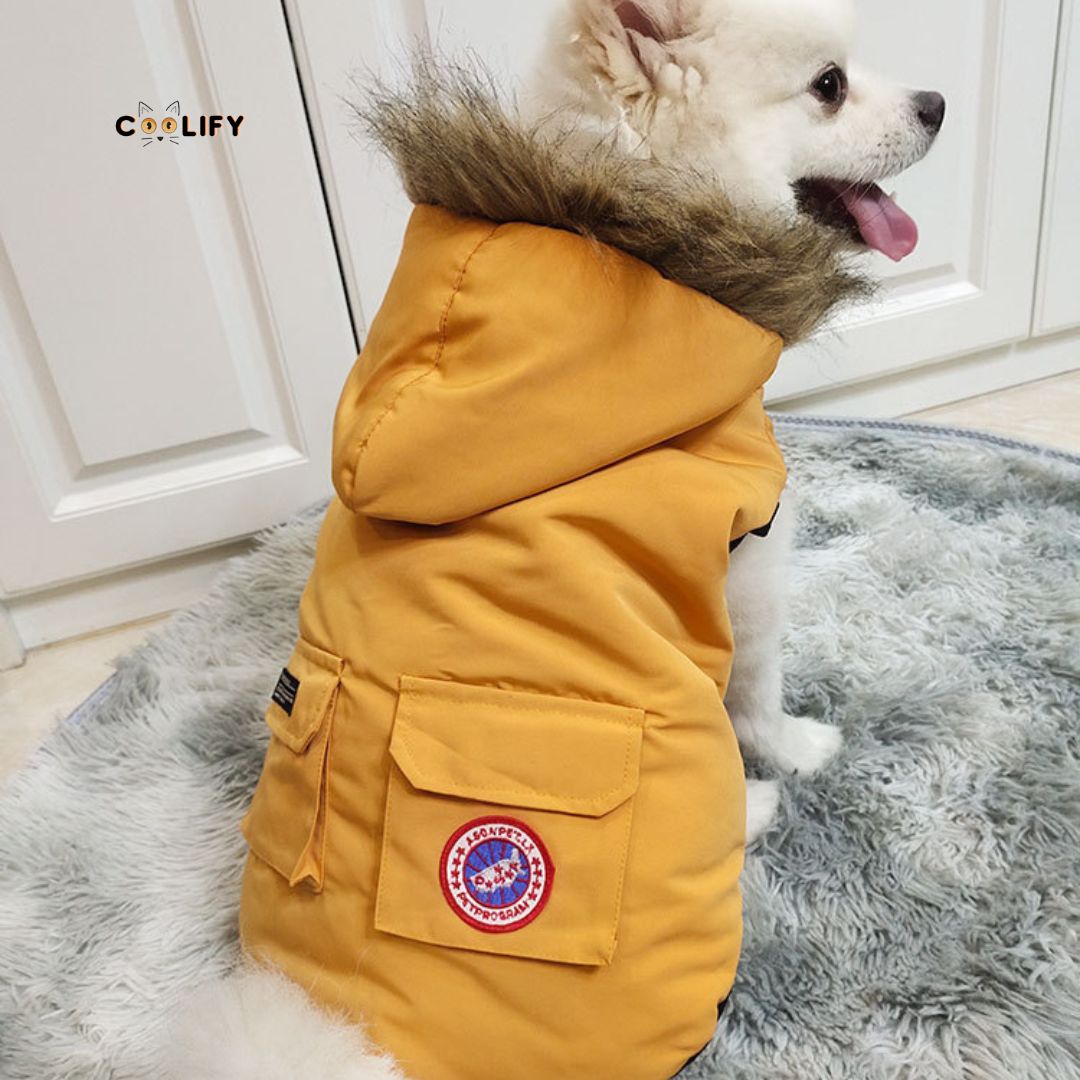 Arctic Paws Kürklü Köpek Montu