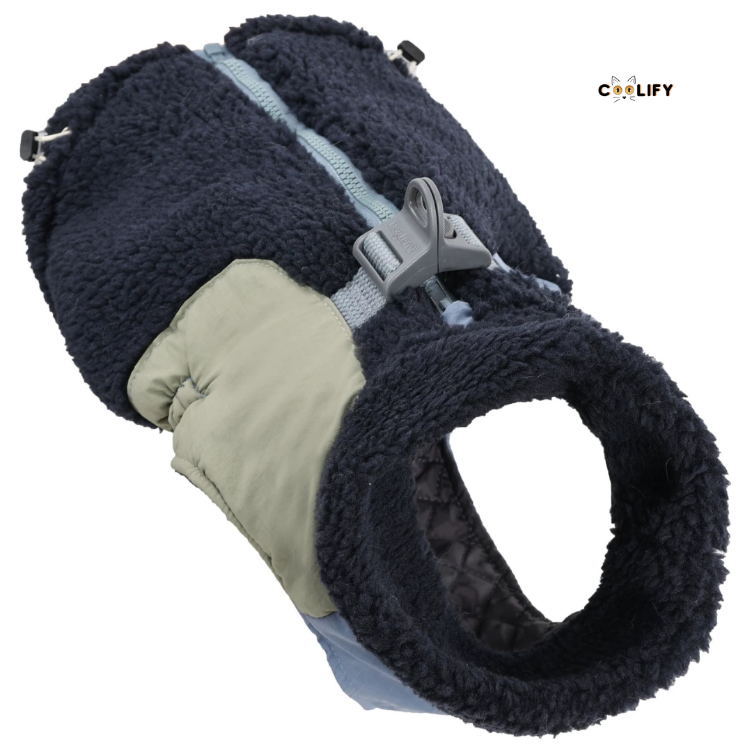 Montreal Köpek Yeleği