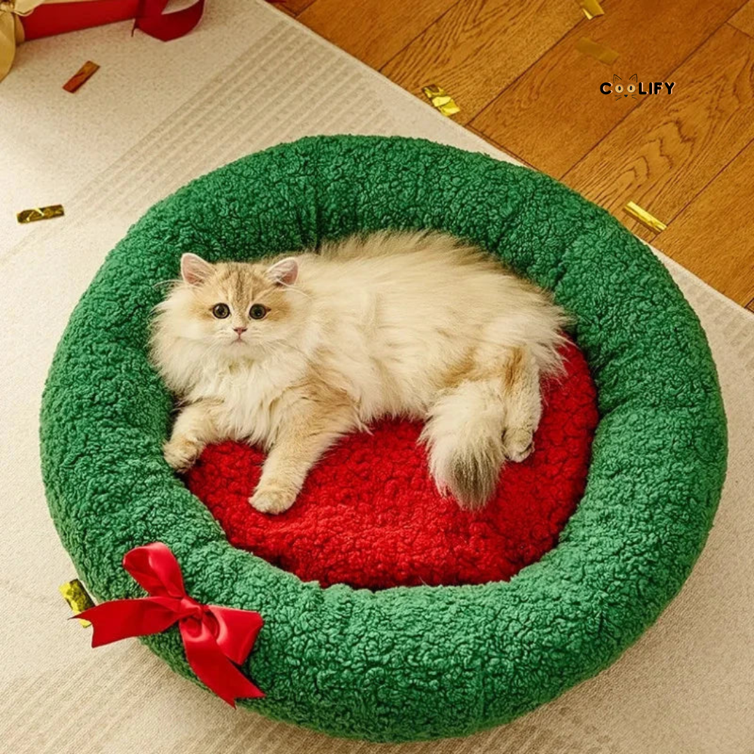 Coolify Christmas Sofá's