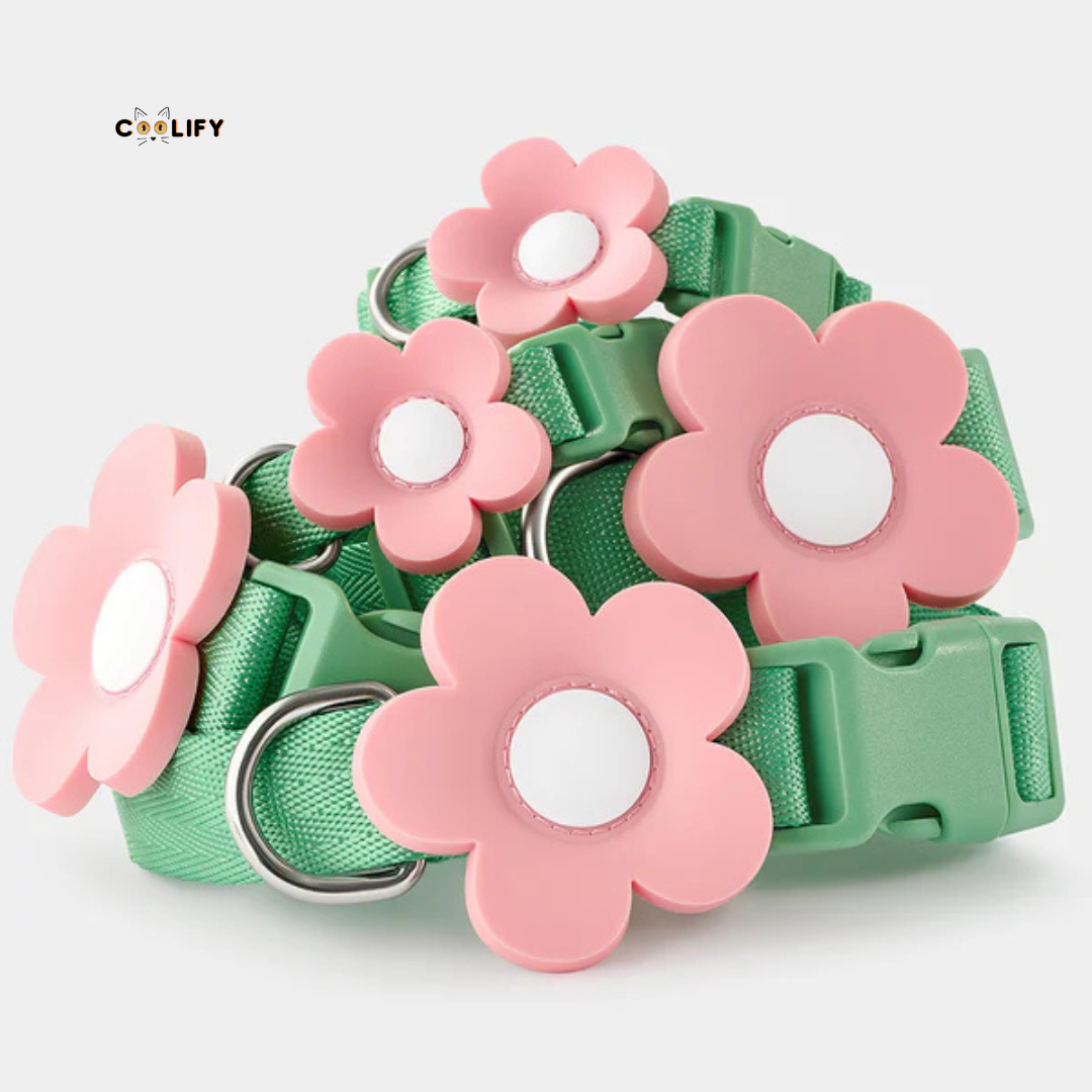Flora Pet Walk Kit