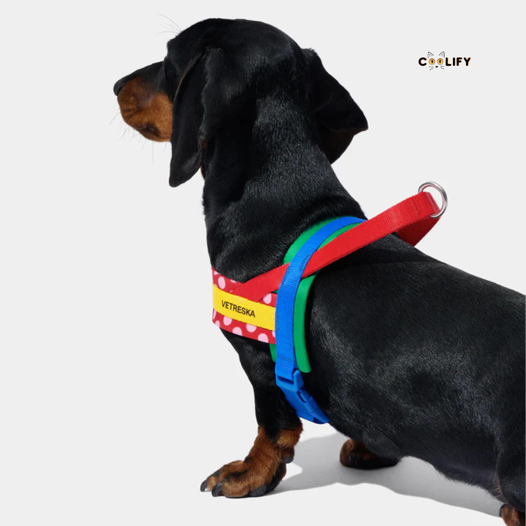 Chroma Pet Walk Kit