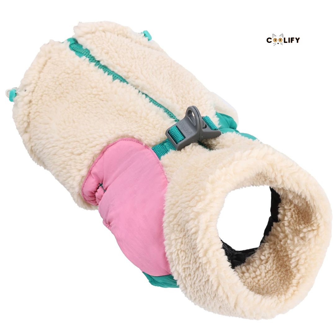 Montreal Köpek Yeleği