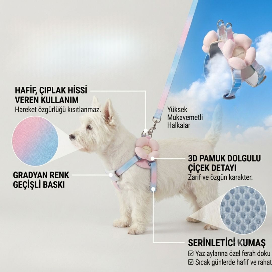 Blossom Göğüs Tasması Seti