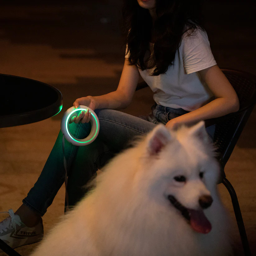 UFO Kontrol Tasması