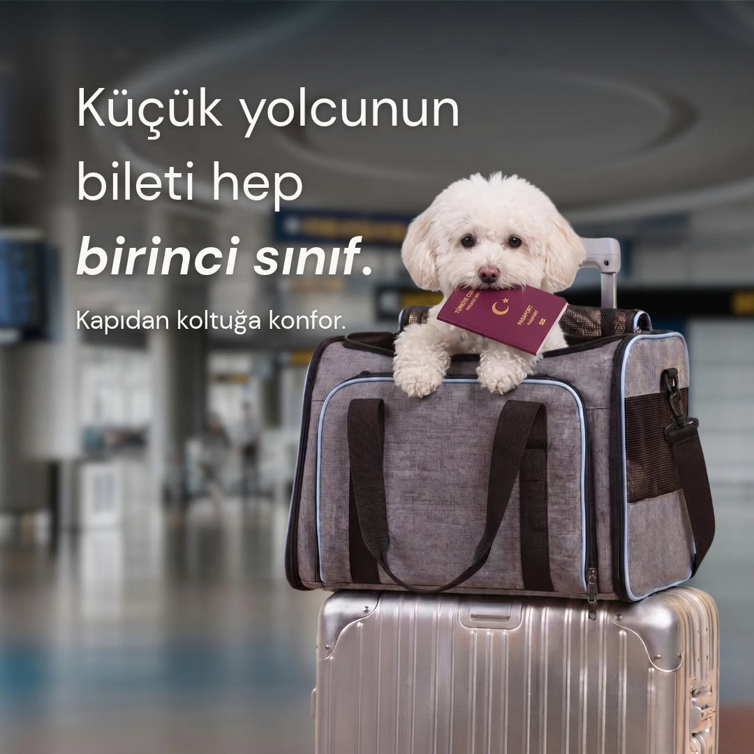 Konaklama Konforu: Açılabilir Seyahat Çantası
