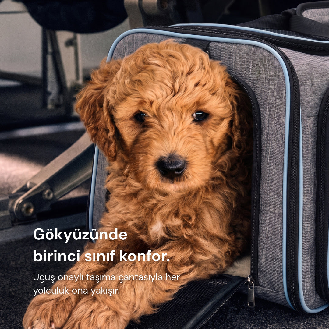 Konaklama Konforu: Açılabilir Seyahat Çantası